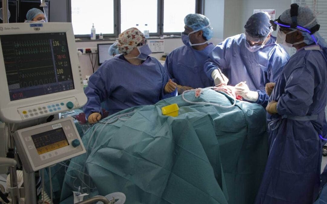 Stuff Article: Coronavirus: Elective surgery catch-up could take years